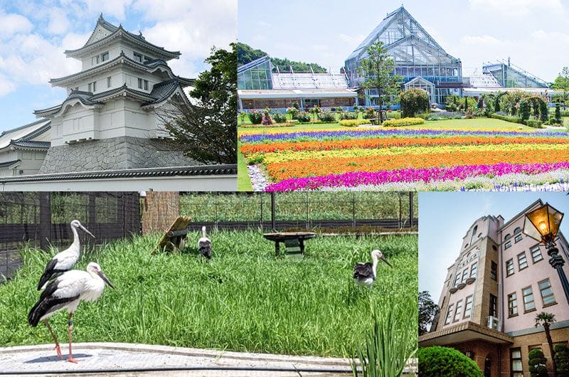 野田市もろもろ